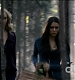TVD0057.jpg