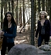 TVD0071.jpg