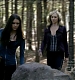 TVD0072.jpg