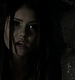TVD0115.jpg