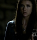TVD0143.jpg
