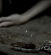 TVD0154.jpg