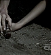 TVD0156.jpg