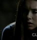 TVD0185.jpg