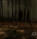 TVD0199.jpg