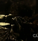 TVD0205.jpg