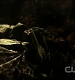 TVD0206.jpg