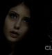 TVD0221.jpg
