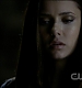 TVD0223.jpg