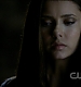 TVD0224.jpg