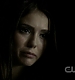 TVD0233.jpg
