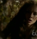 TVD0245.jpg