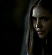 TVD0289.jpg