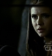 TVD0320.jpg