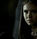 TVD0324.jpg