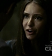 TVD0391.jpg