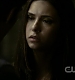 TVD0431.jpg