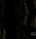 TVD0458.jpg
