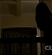 Filename=TVD0022.jpg
Filesize=26KiB
Dimensions=1280x720
Date added=Dec 02, 2010 TVD0022.jpg
