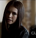 TVD0239.jpg