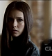 TVD0240.jpg