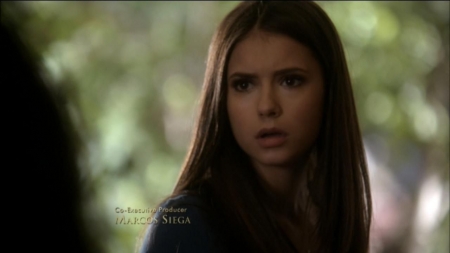 TVD0058.jpg