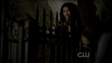 TVD0099.jpg