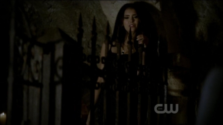 TVD0100.jpg