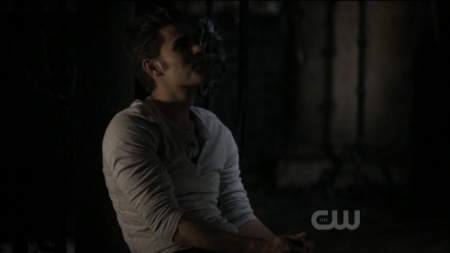 TVD0253.jpg
