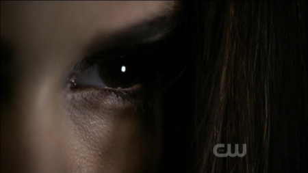 TVD0311.jpg
