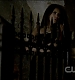 TVD0097.jpg