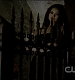 TVD0098.jpg