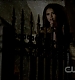 TVD0099.jpg
