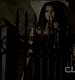 TVD0100.jpg