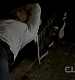 TVD0101.jpg