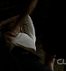 TVD0110.jpg