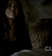 TVD0113.jpg