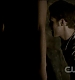 TVD0115.jpg