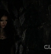 TVD0288.jpg