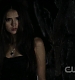 TVD0303.jpg