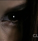 TVD0312.jpg