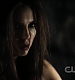 TVD0318.jpg