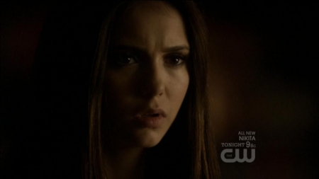TVD0110.jpg