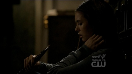 TVD0217.jpg