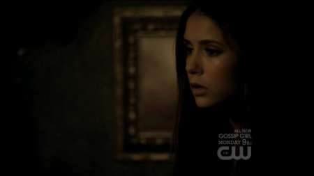TVD0225.jpg