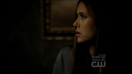 TVD0233.jpg