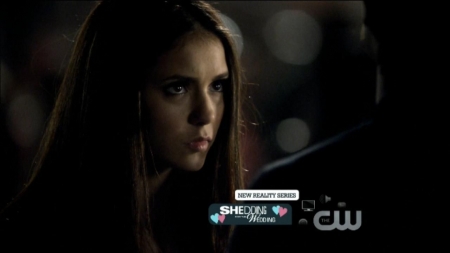 TVD0278.jpg