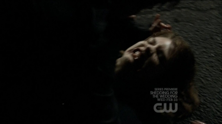 TVD0281.jpg