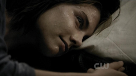 TVD0313.jpg