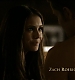 TVD0039.jpg